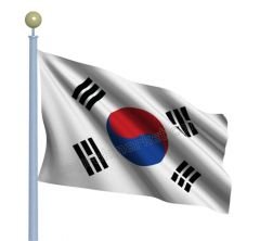 Güney Kore Gönder Bayrağı 50x75 cm