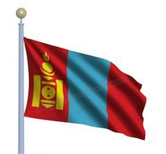 Moğolistan Gönder Bayrağı 50x75 cm